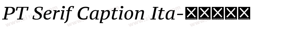 PT Serif Caption Ita字体转换